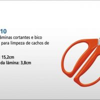foto_colheita18