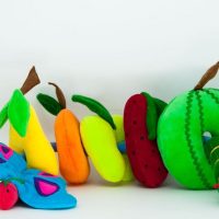 8003 Passa frutas